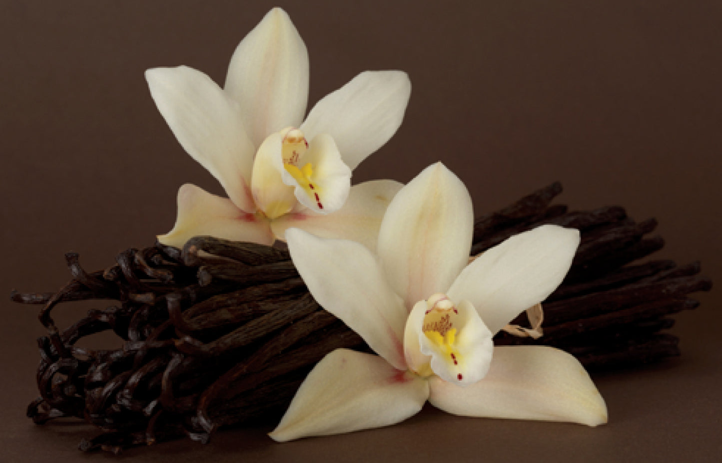 Luxiny Natural Soap Bar
